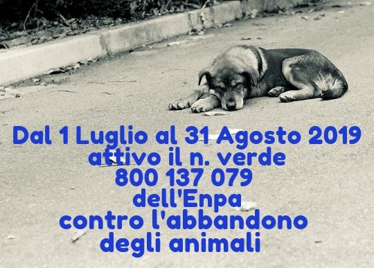 abbandono animali n verde enpa.jpg
